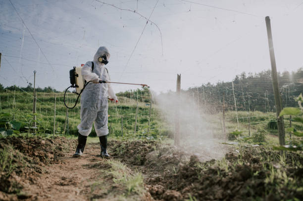 Pest Prevention Services in Muse, PA