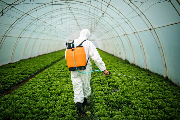 Best Pest Control for Restaurants  in Muse, PA