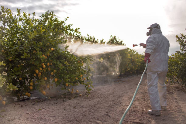 Trusted Muse, PA Pest Control Experts