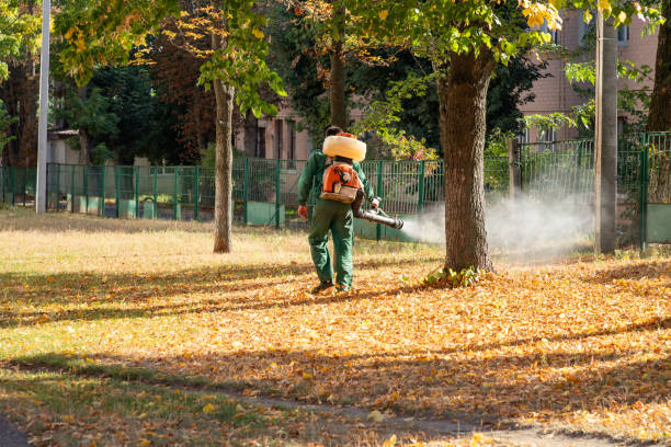 Best Exterminator Services  in Muse, PA