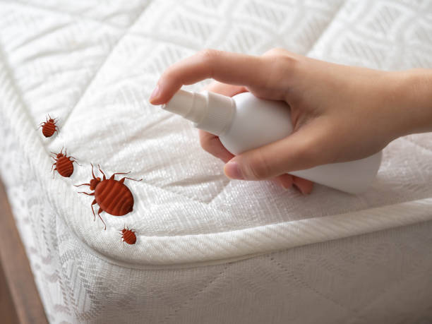 Best Cockroach Control Services  in Muse, PA