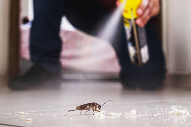 Best Emergency Pest Control  in Muse, PA