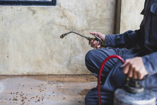 Best Pest Control Cost  in Muse, PA