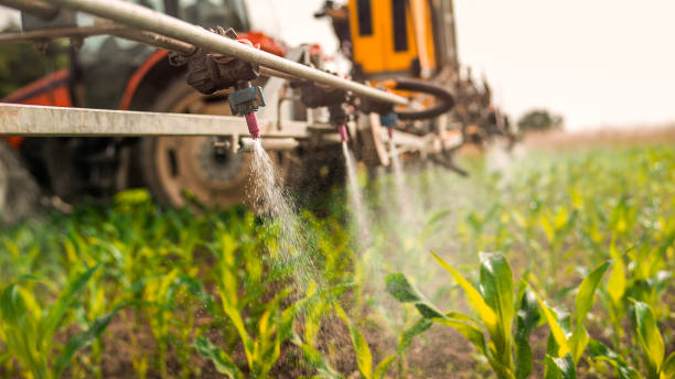 Best Pest Removal Services  in Muse, PA